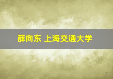 薛向东 上海交通大学